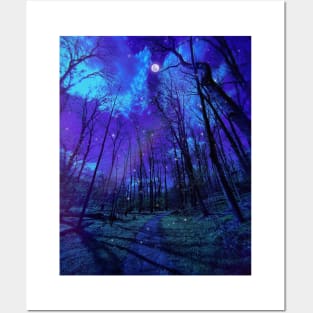 Forest at night Posters and Art